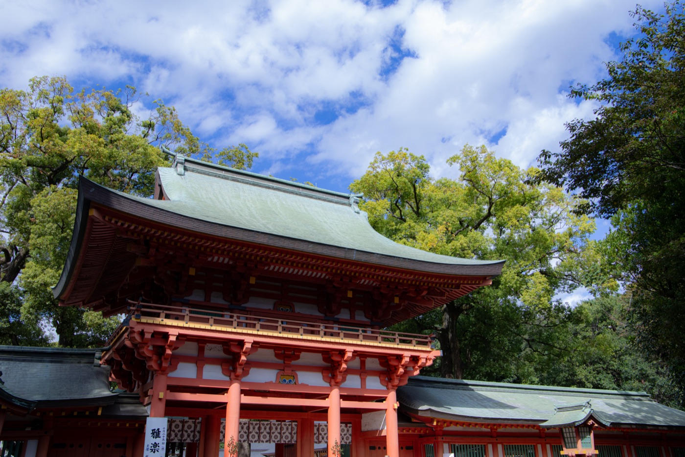 活動エリア